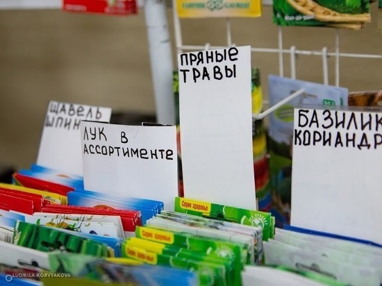 Площади для ларьков выставлены в Петрозаводске на аукцион