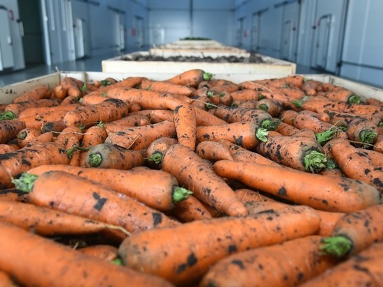 В Астрахани изменились цены на морковь и картофель