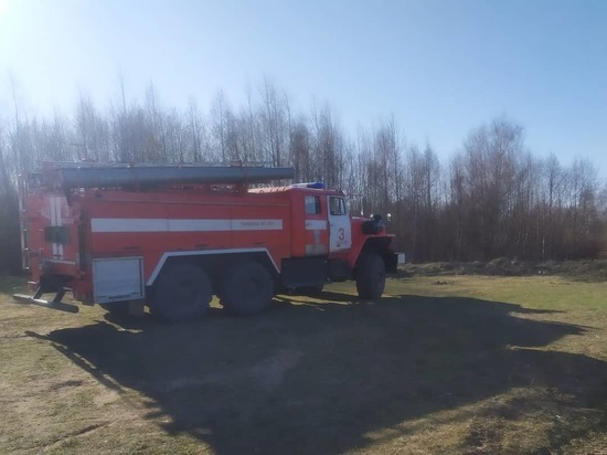 Пожарные в Пскове спасли будущий приют "Шанс" от пала травы