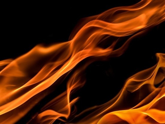 Пожар в Новосергиевском районе включен в рейтинг самых крупных возгораний в стране