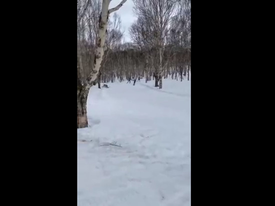 Трагедия на Камчатке: погиб краснодарский лыжник