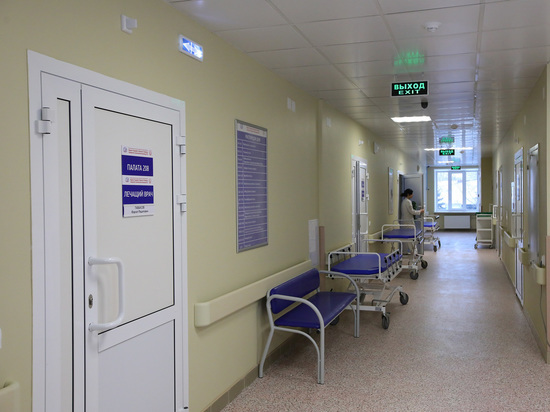 На Южном Урале за сутки скончались 9 пациентов с коронавирусом