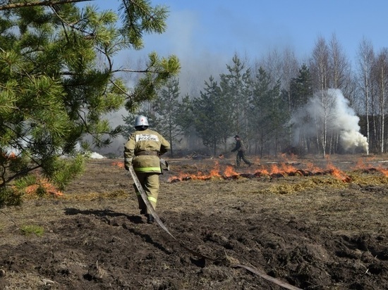 Ивановцев предупреждают: из-за пала травы можно «погореть»