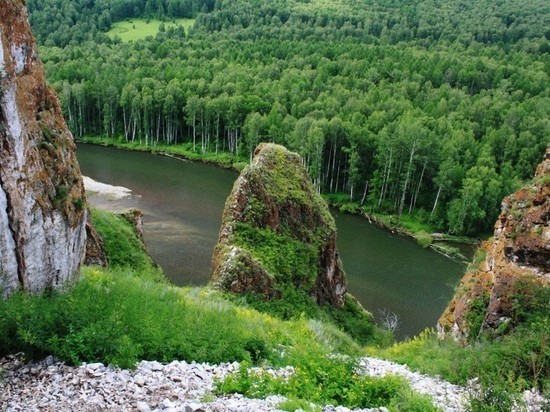 Москва подтвердила, что хариус в реках Хакасии погиб из-за выбросов рудника Коммунар