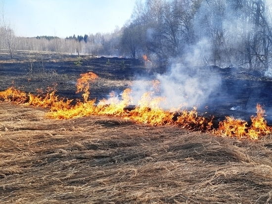 За выходные чувашские пожарные 27 раз тушили горящую траву