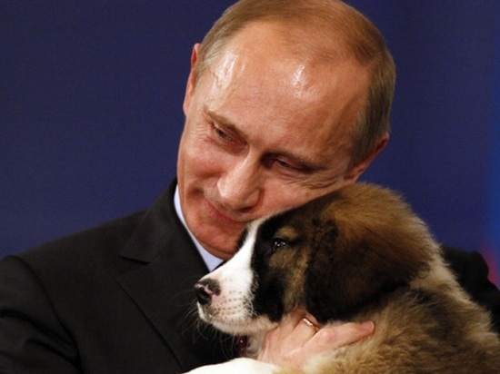 Британское СМИ рассказало, как Путин спустил на Меркель своего лабрадора