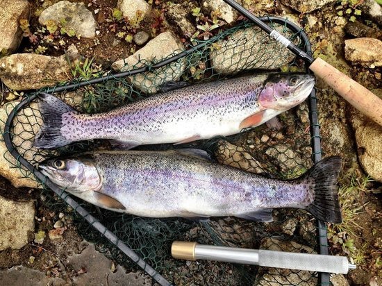 Мнение жителей Карелии собираются учитывать при выделении рыбоводных участков