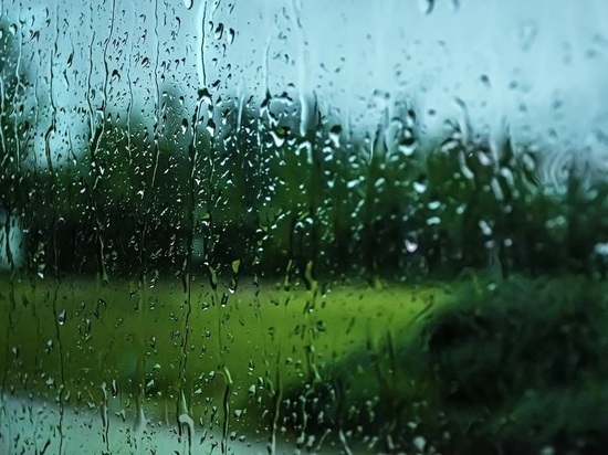 Небольшие дожди ожидают Смоленщину 20 апреля