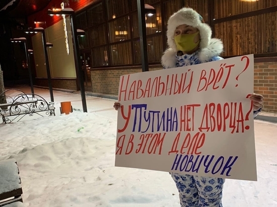 Активистку Шиеса Анну Степанову признали невиновной в нарушении режима повышенной готовности