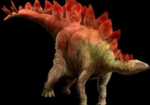 Впервые в истории палеонтологии найден след мини-динозавра, который был размером с кошку