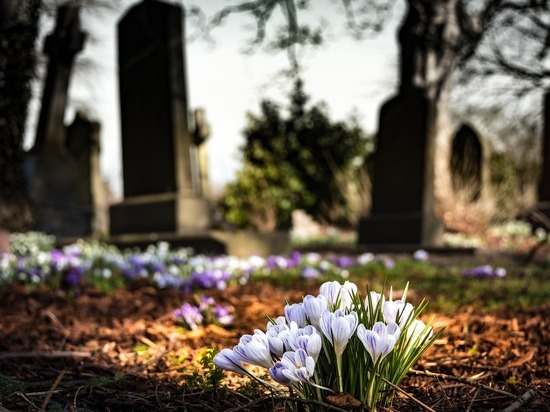 В Юрюзани на городском кладбище вандалы испортили больше 50 надгробий