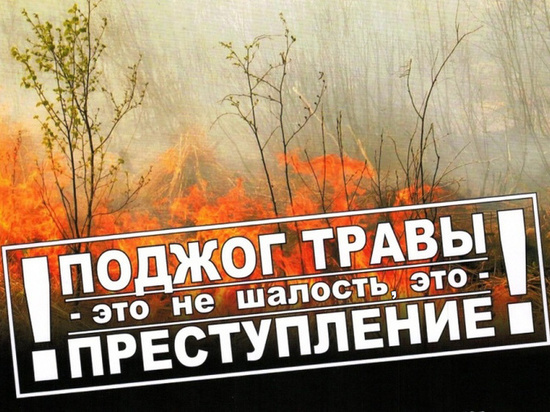 В результате пала травы в Костромской области сгорели дачный домик и хозпостройка