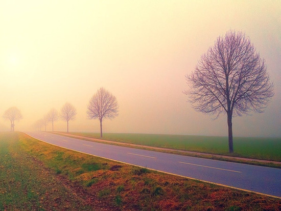 КПВВ "Еленовка" пересекли почти 200 человек