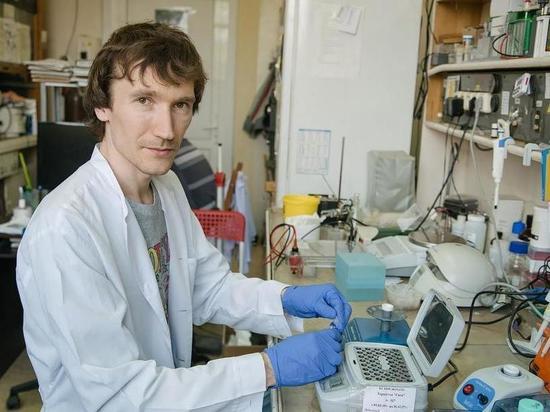 Новосибирский ученый усомнился в появлении «сибирского» штамма коронавируса
