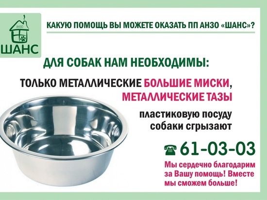 Псковские зоозащитники просят помочь с покупкой тазов, кастрюль и мисок для собак