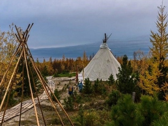 В России откроют центры для развития традиционного предпринимательства в Арктике