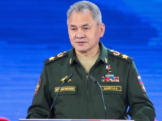 Шойгу заявил о провокациях США и НАТО в Черном море