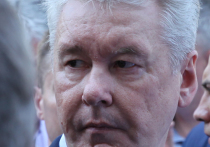 Мэр Москвы Сергей Собянин заявил в своем блоге на персональном сайте, что ситуация с коронавирусом в Москве в последние две-три недели ухудшилась