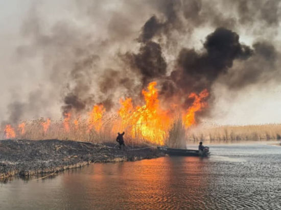 Пожары в Прибалхашье: последствия катастрофические