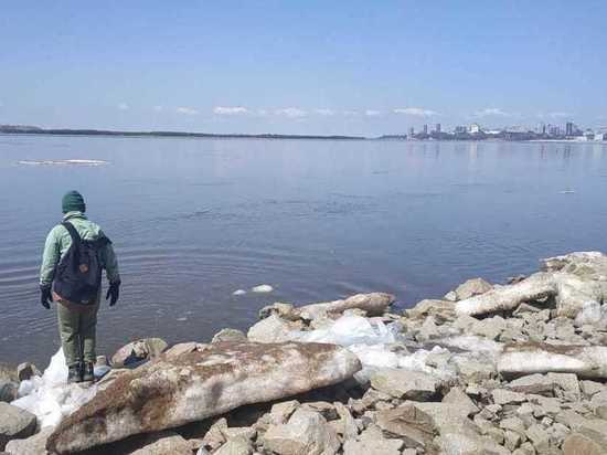 Обстановка на реках в Хабаровском крае 22 апреля 2021 года