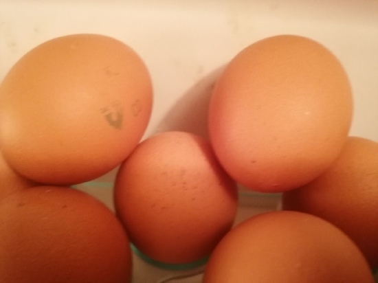 В Оренбургской области самые дешевые яйца