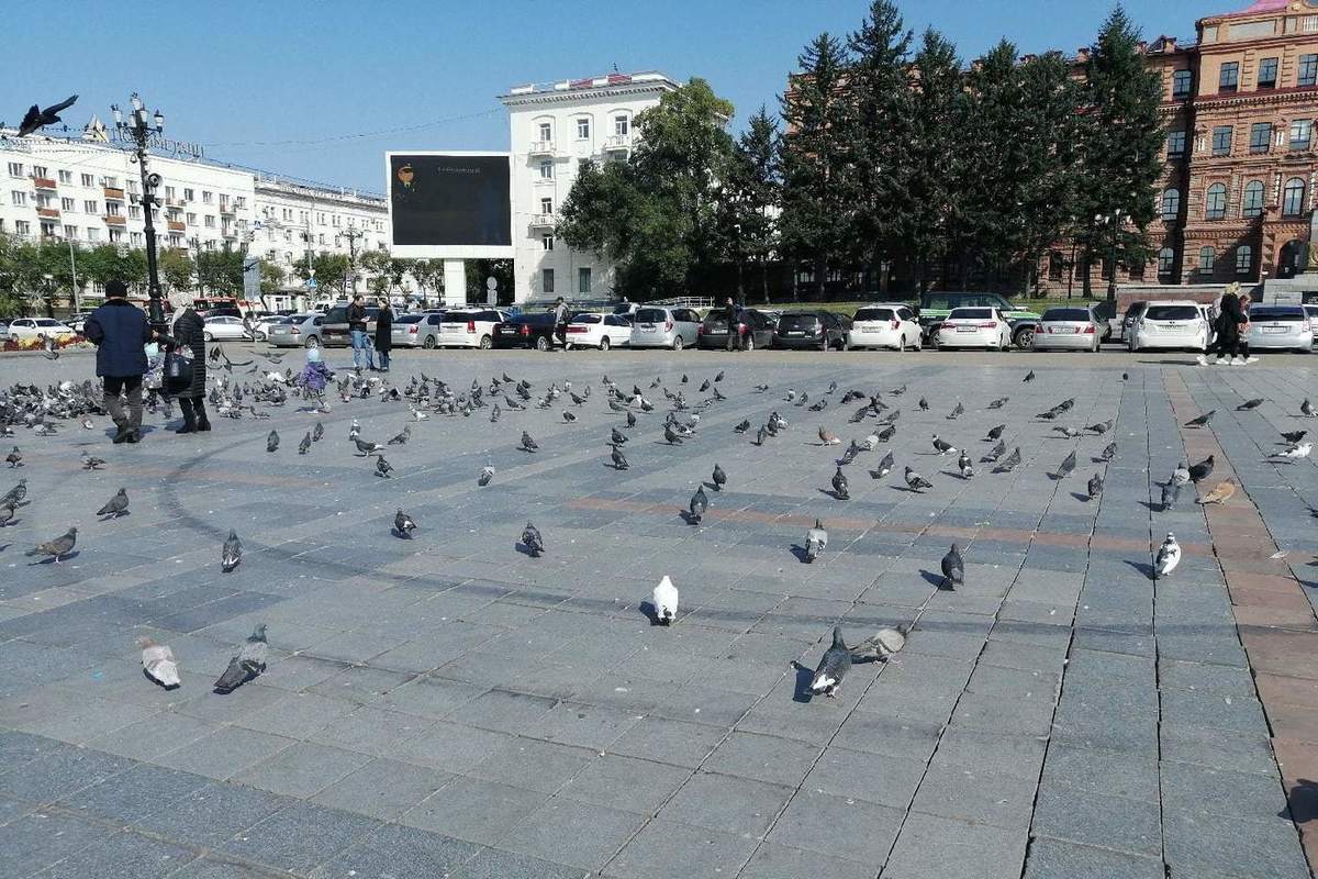 Погода на майские праздники 2021 в Хабаровске - МК Хабаровск
