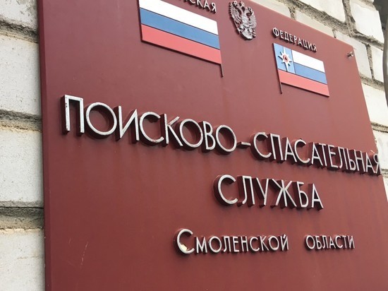 37 боеприпасов времен войны обезвредили саперы в Смоленской области