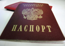 В ближайшее время в России будет разработана система электронных паспортов