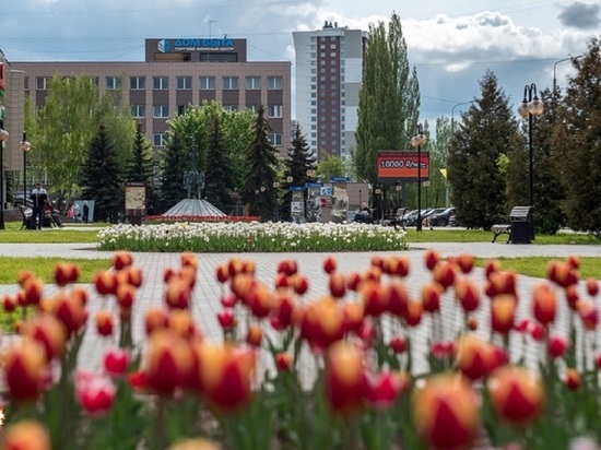 Более ста тысяч цветов высадят в Серпухове