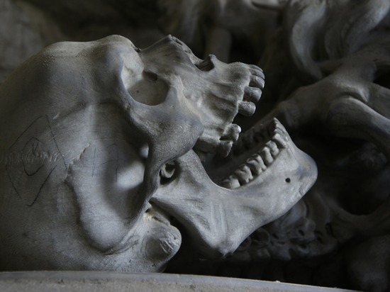 СК опроверг слухи о том, что скелет в парке «Юбилейный» принадлежит подростку