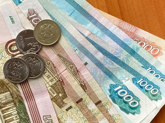 Обнародованы декларации о доходах депутатов Рязанской облдумы за 2020 год