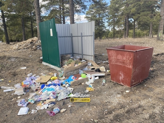 В Новосибирске жители жалуются на горы мусора