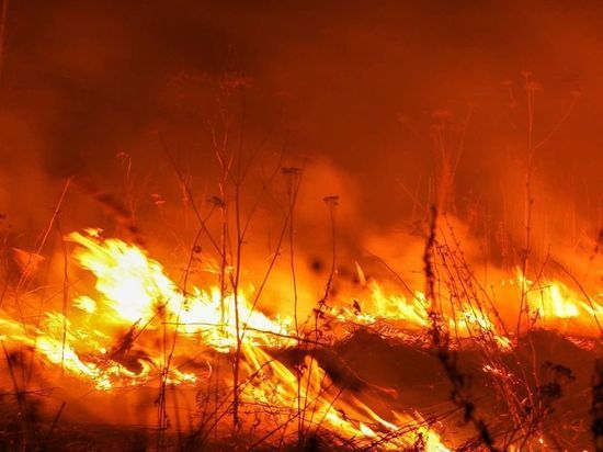 Жителям Серпухова напомнили о лесных пожарах