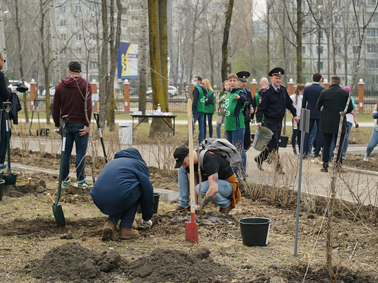 Жители Хабаровска высадили молодые деревья и кустарники в «Зеленом сквере»