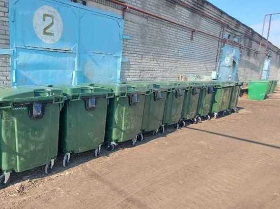 Более 1000 новых контейнеров для мусора установят в городах и районах Тамбовской области