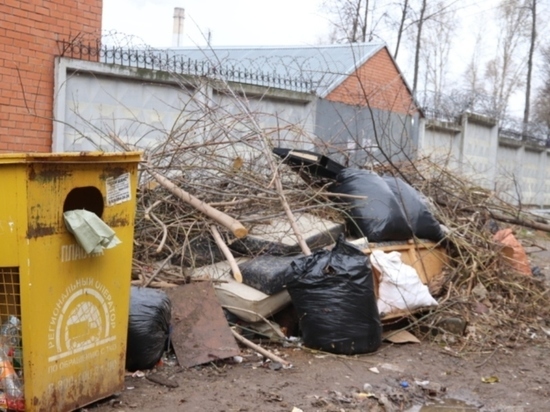 В Иванове УК игнорируют постановление о регистрации мусорных контейнеров