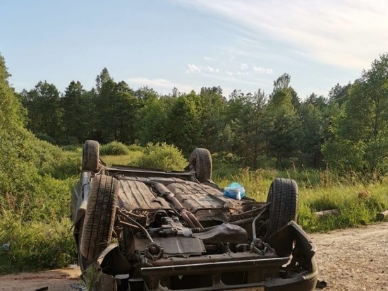 Житель Брянской области спьяну угнал под Калугой машину и угробил на ней друга