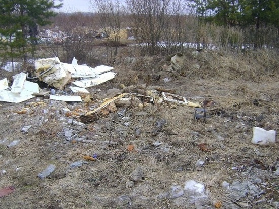 В калмыцком поселке на землях сельхозназначения обнаружена свалка