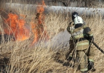 ГУ МЧС России по Приморскому краю продолжает фиксировать увеличение числа природных пожаров в регионе