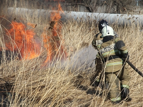 В Приморском крае за сутки потушено 257 пожаров