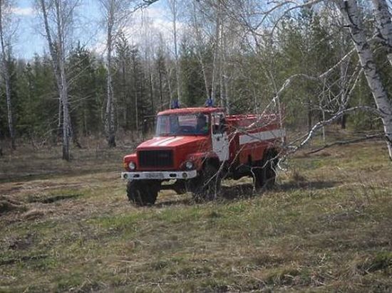 Позорный рекорд: в Омской области лесных пожаров и поджогов травы в 10 раз больше обычного