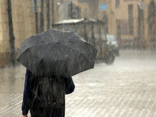 В Рязанской области выпустили метеопредупреждение из-за дождей с грозами