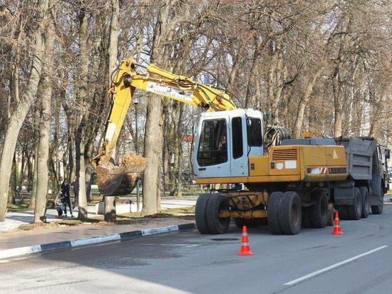 Подрядчик Верхнего горпарка в Рязани повредил корни деревьев и кустарников
