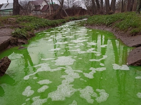 Ручей в Обнинске окрасился в кислотно-зеленый цвет