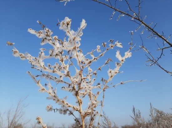 Апрельские заморозки: МЧС по Саратовской области прогнозирует снег с грозами