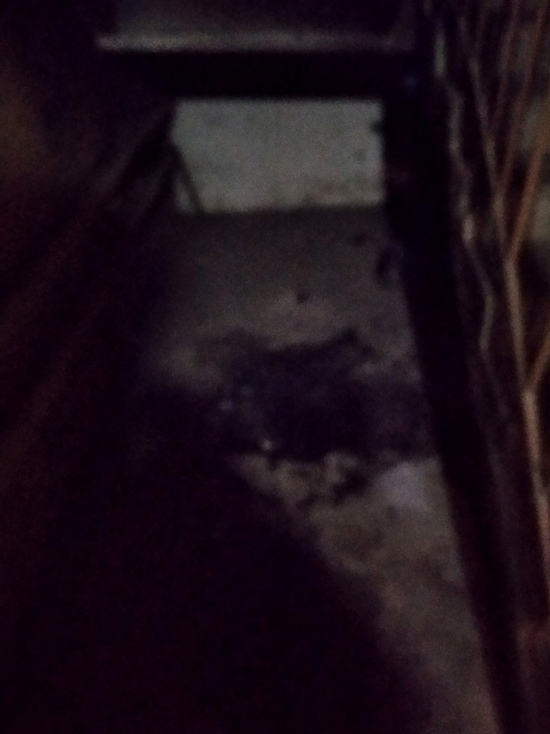В Смоленске на Куйбышева в подъезде дома дотла сгорела детская коляска