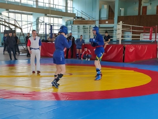 В Донецке завершился студенческий турнир по самбо