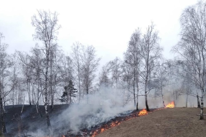 Лесной пал. Лес Бурятии пожар. Есть в Бурятии пожар в лесу. Лесной пожар в Шадринском районе 2023.