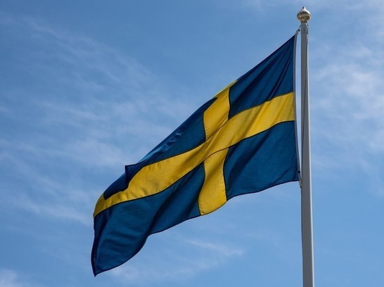 Минобороны Швеции назвало «дымовой завесой» возврат войск РФ с учений