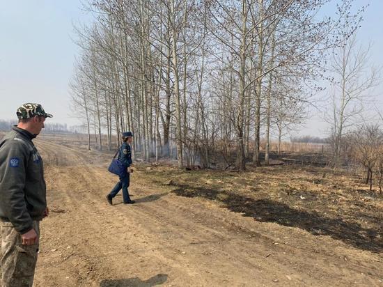 Пожарные в ЕАО выезжают на тушение палов травы больше 30 раз в сутки